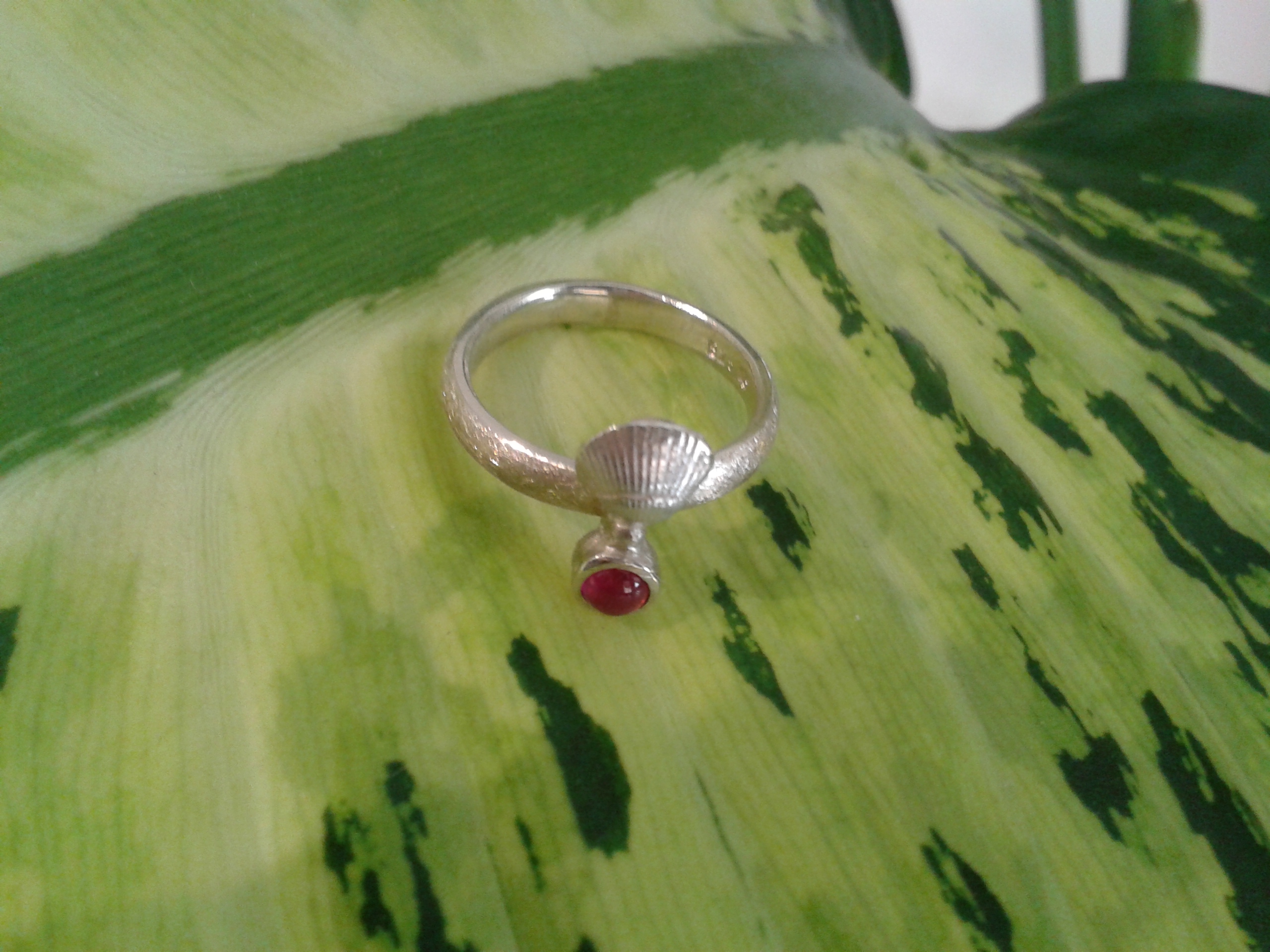 Ring Muschel, 925‰ Silber, Rubin